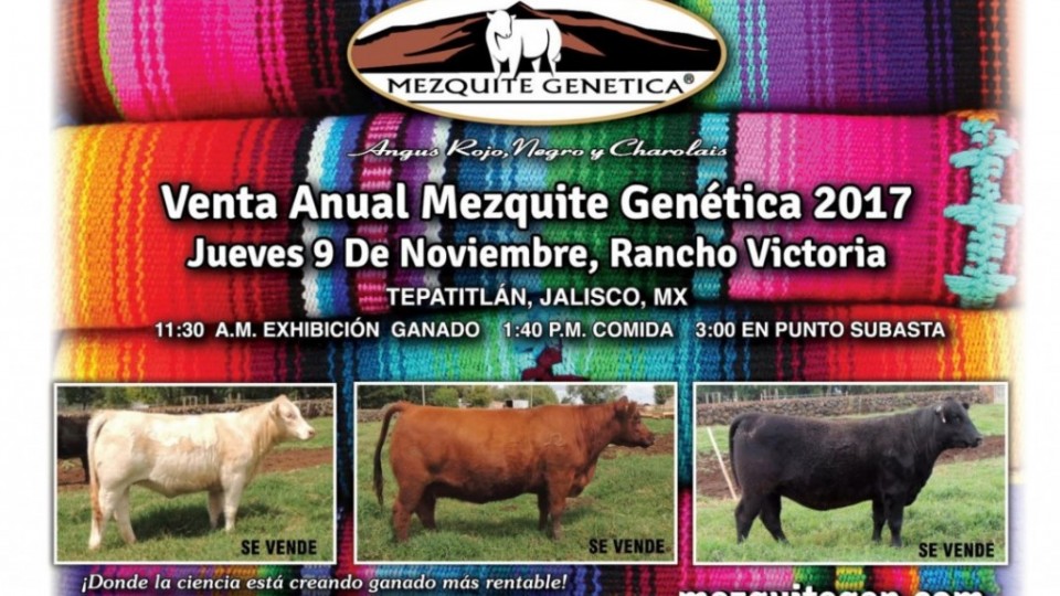 catalogo mezquite genetica