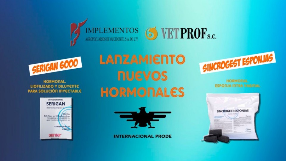 serigan-6000-y-sincrogest-esponja-not