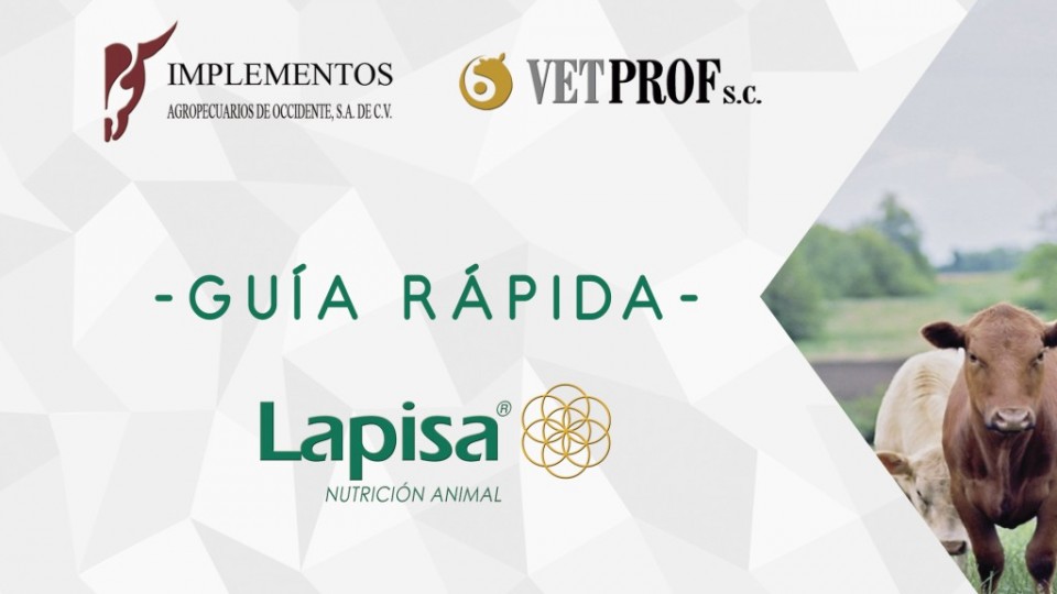 portada manual lapisa nut